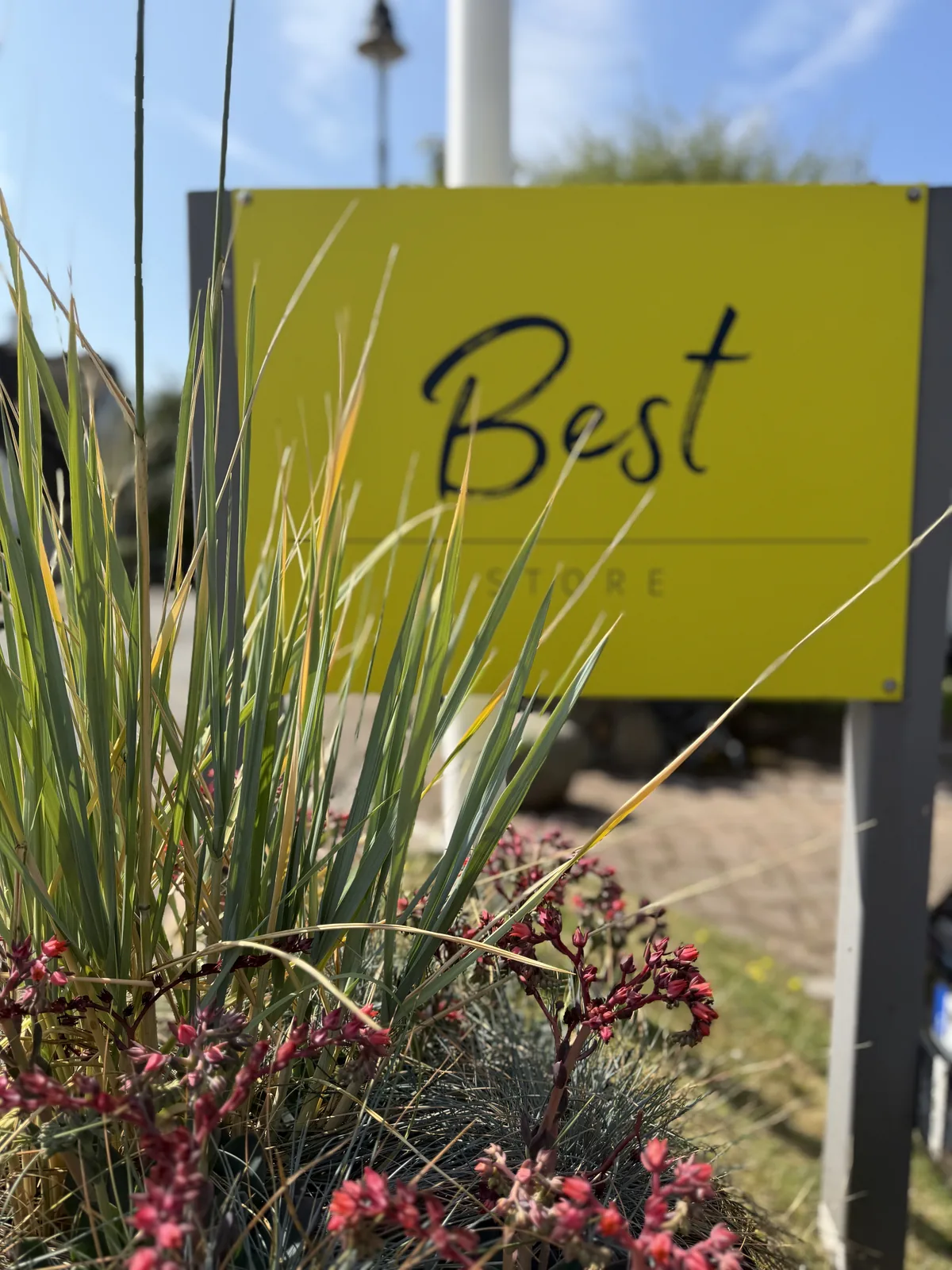 BEST x ROOTS + BEST SUPER SUMMER SALE