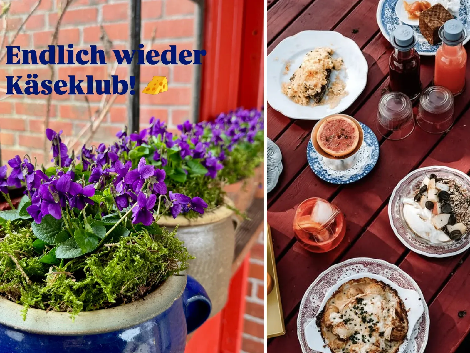 KÄSEKLUB.Keitum